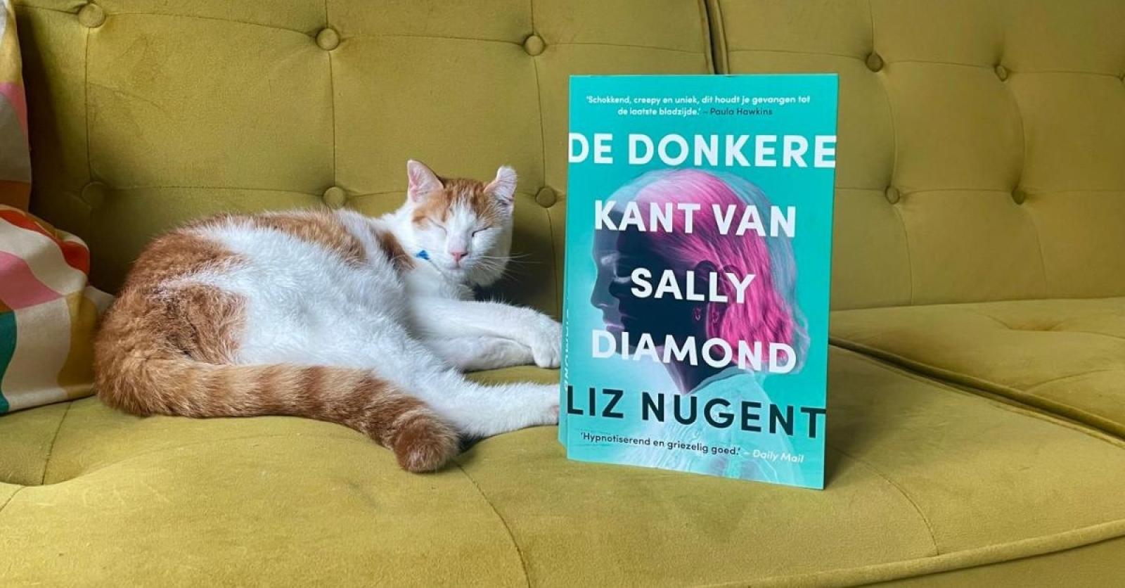 Flair Book Club: ‘De donkere kant van Sally Diamond