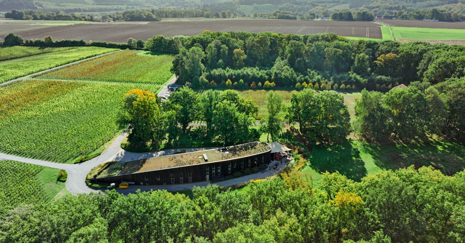 Château de Bousval: après le raisin, l’olive