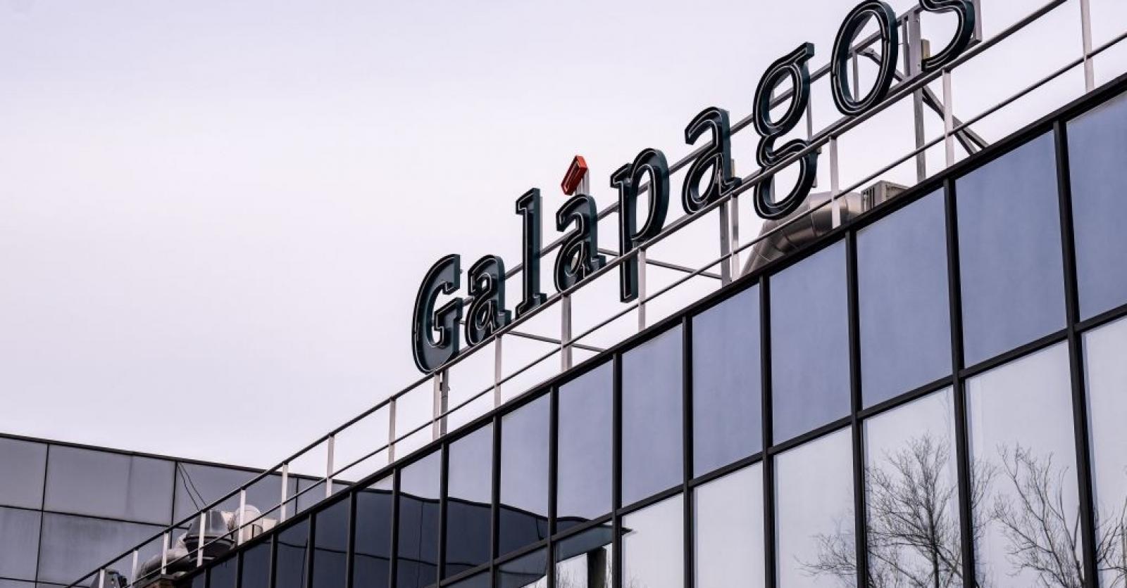 Hande ercel porn deepfake sincèrement tu cherches juste à