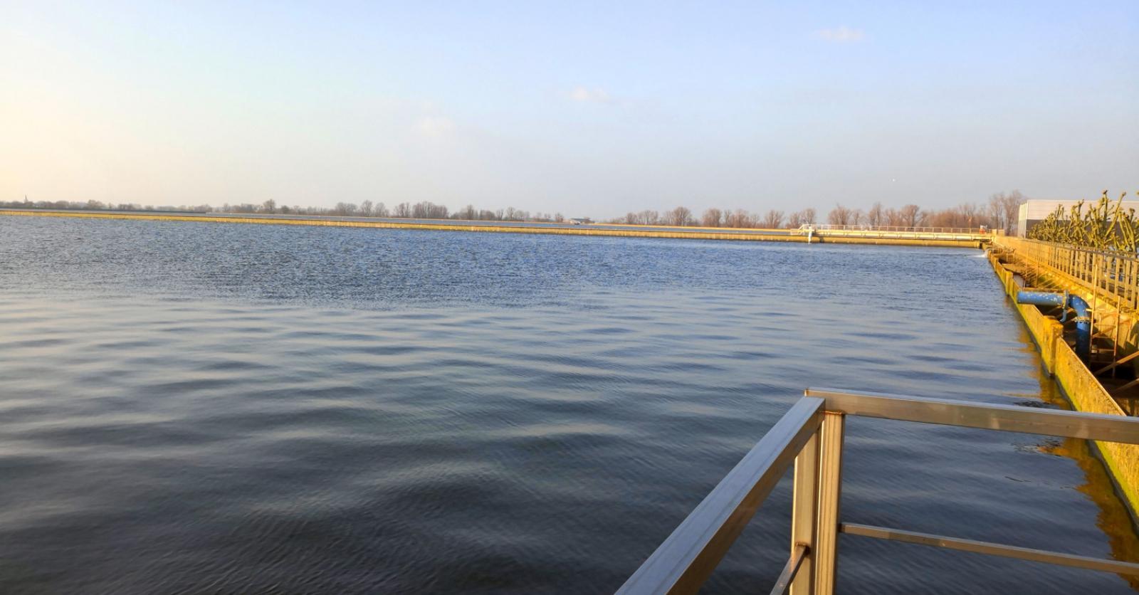 Beïnvloedt De Waterkwaliteit Van De Vaart De Plannen Voor Leuven Bad Het Water Is Te Slecht Om Te Zwemmen 124123