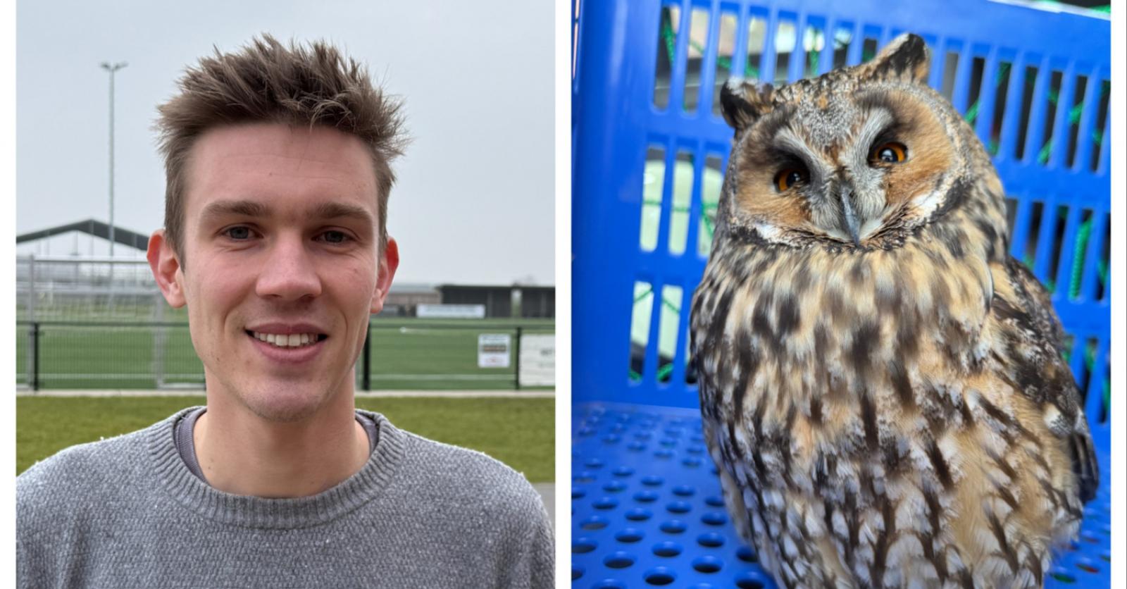 Michiel (26) redt uil tijdens aanval door kauwen op sportsite: “De vogel was zwaargewond, hopelijk k