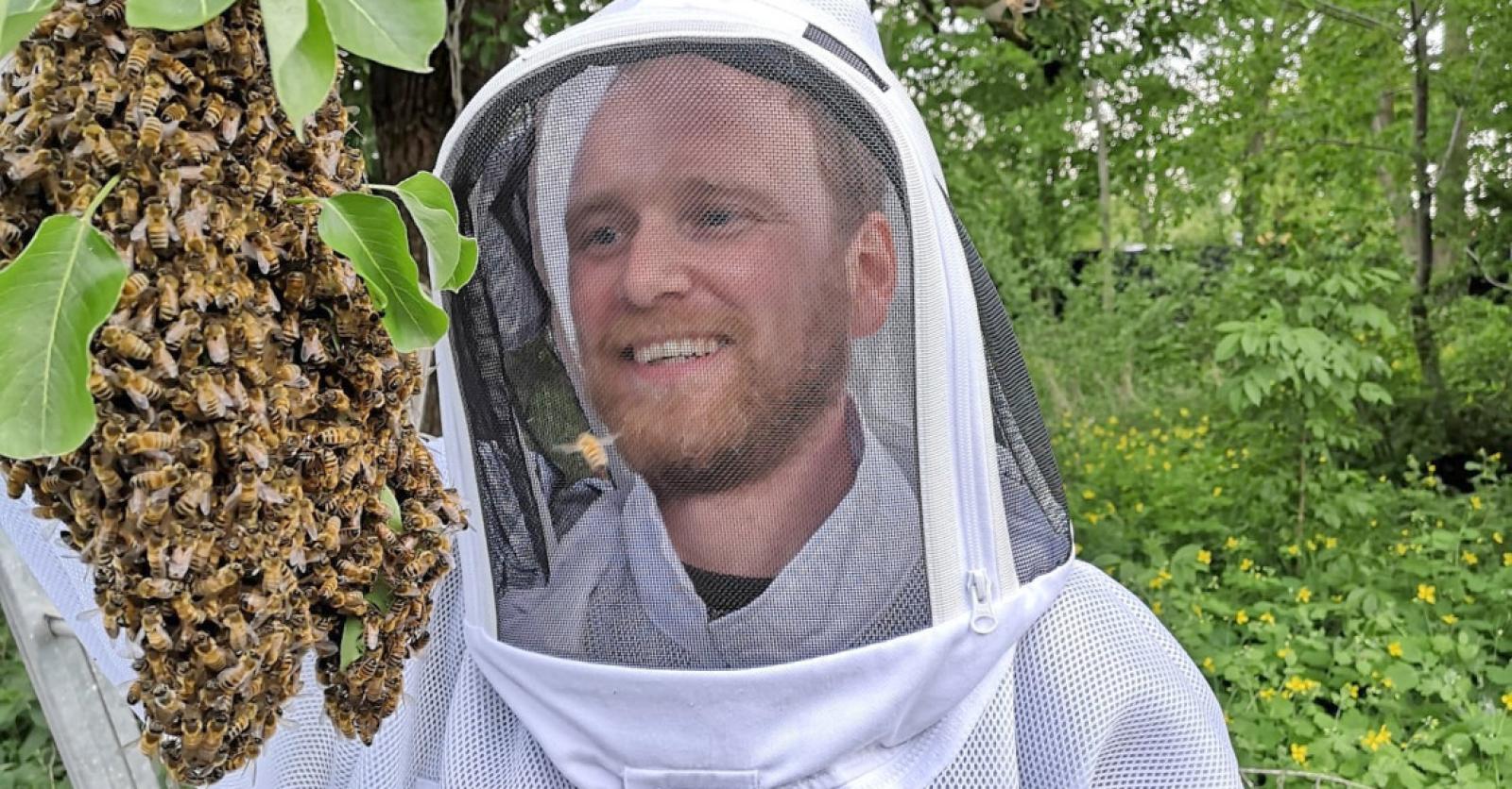 Imker Tim (41) start crowdfunding… in strijd tegen Aziatische hoornaar: “De druk is enorm gestegen”