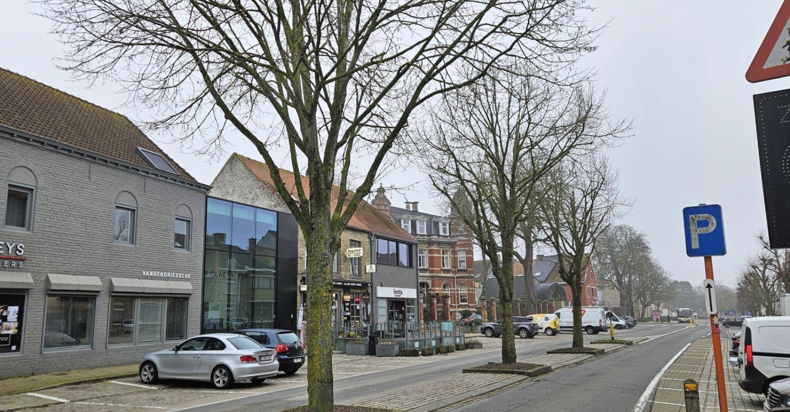 Dreve zonder linden?