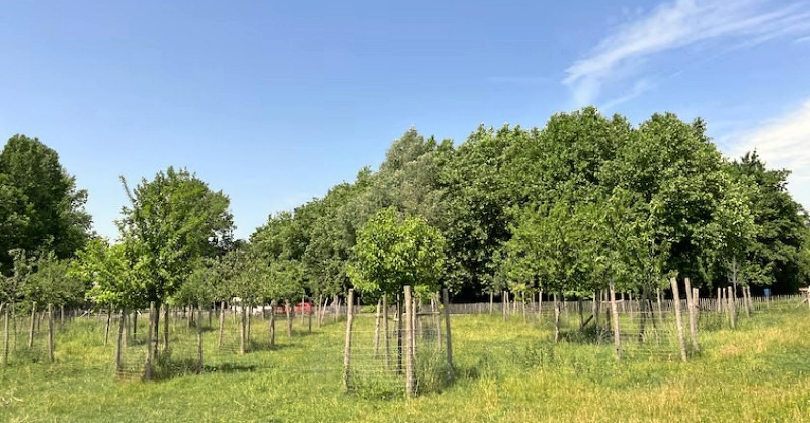 Nieuwpoort trekt stekker uit nieuwe brandweerkazerne en start opnieuw