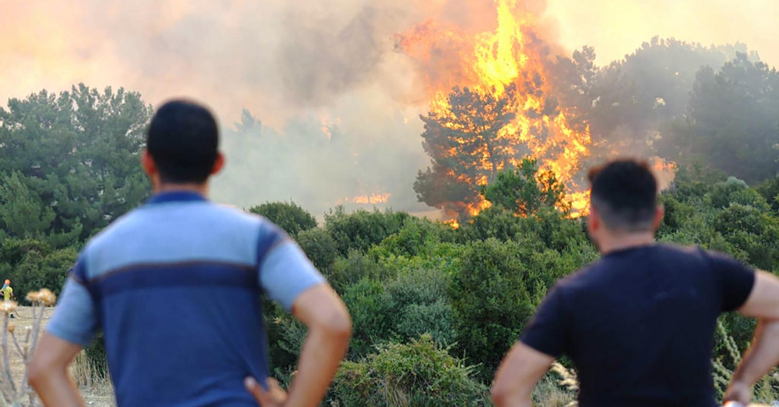 Dramatiques feux de forêt en Europe: les précautions si vous partez ou devez annuler un voyage dans une zone à risque