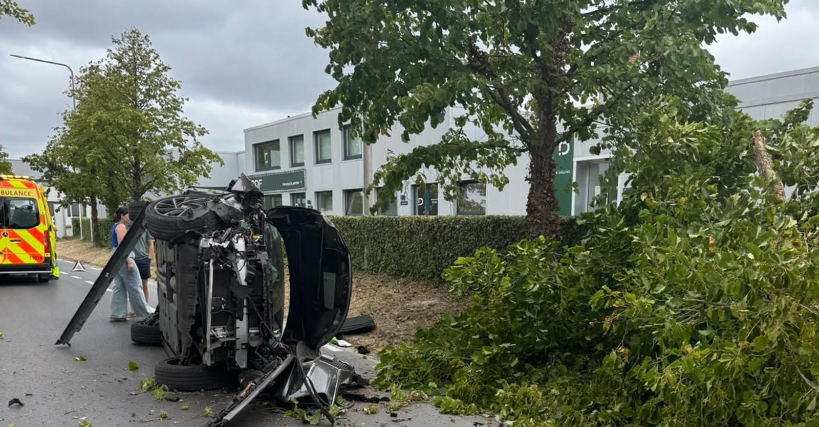 Auto smakt tegen boom langs Lodewijk de Raetlaan in Izegem: bestuurder raakt lichtgewond