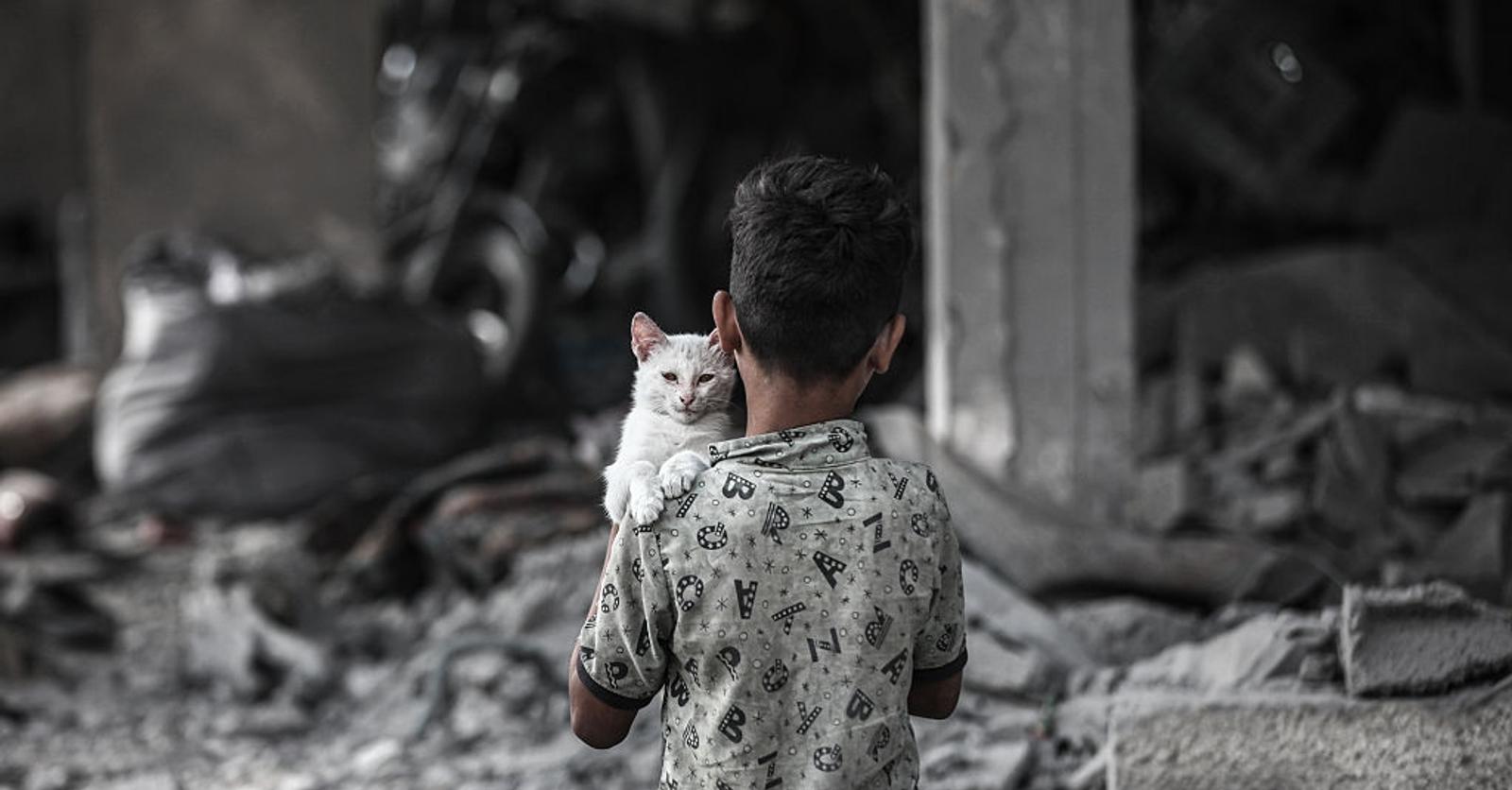 Plus personne ne parle de Gaza, et ce n’est pas une bonne nouvelle: «Le cessez-le-feu d’Israël, c’est un leurre»