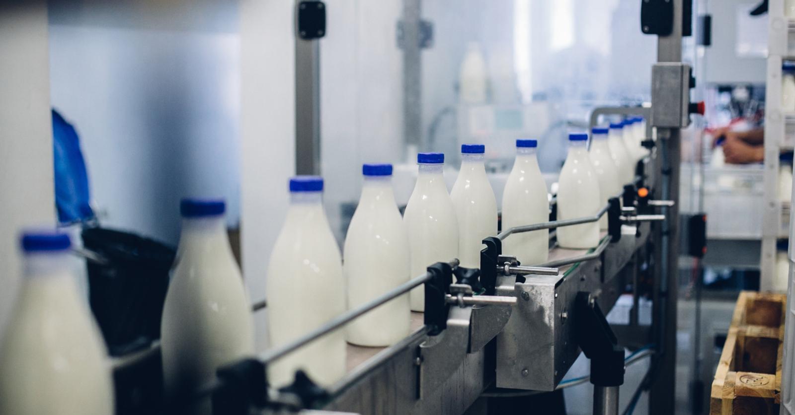«A long terme, il faut craindre des pénuries de lait en Belgique»: pourquoi la surproduction actuelle ne durera pas