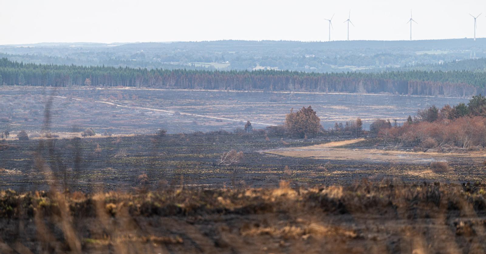 La majorité wallonne MR-Les Engagés estime avoir bien géré l’incendie des Fagnes: «Ce n’est pas parce que des anticipations existent que le risque disparaît»