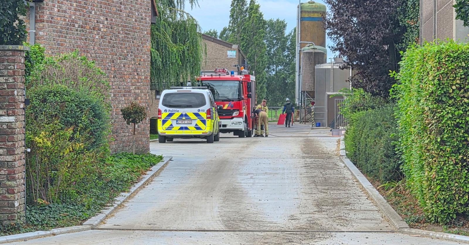 Dierenreddingsteam redt drie varkens en twee koeien