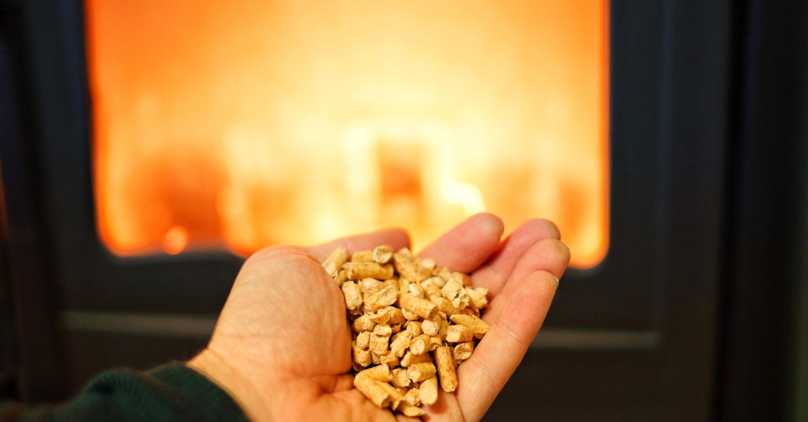 Les prix du pellet et du bois de chauffage vont-ils flamber? «Si on a un hiver très froid, ça va être assez fou»