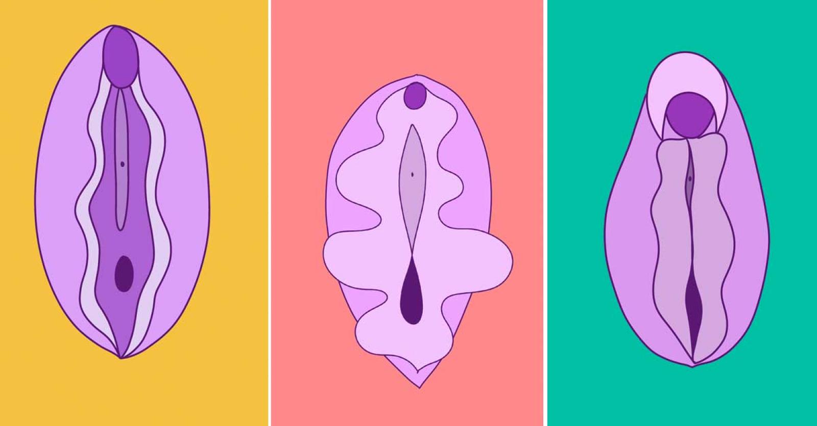 Vier weetjes over de clitoris uit het nieuwe boek van seksuologe Lotte Sierens