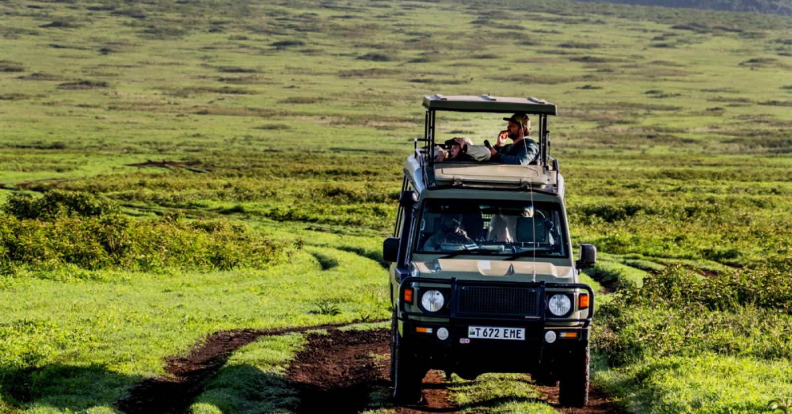 Zonnig met kans op zebra: dit is het beste land ter wereld voor een safari