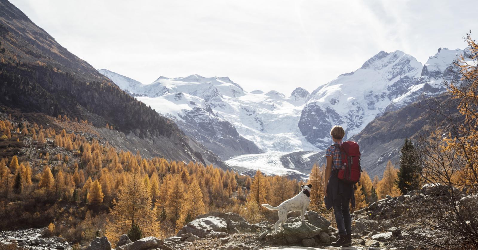 Vermoord En Bevroren In De Alpen