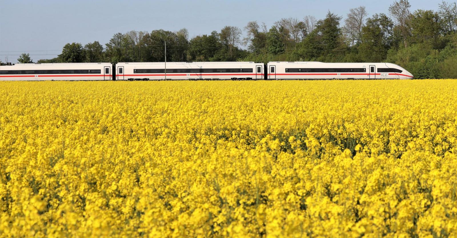 5 Goede Redenen Om Met De Ice Trein Naar Euro 2024 Te Reizen 