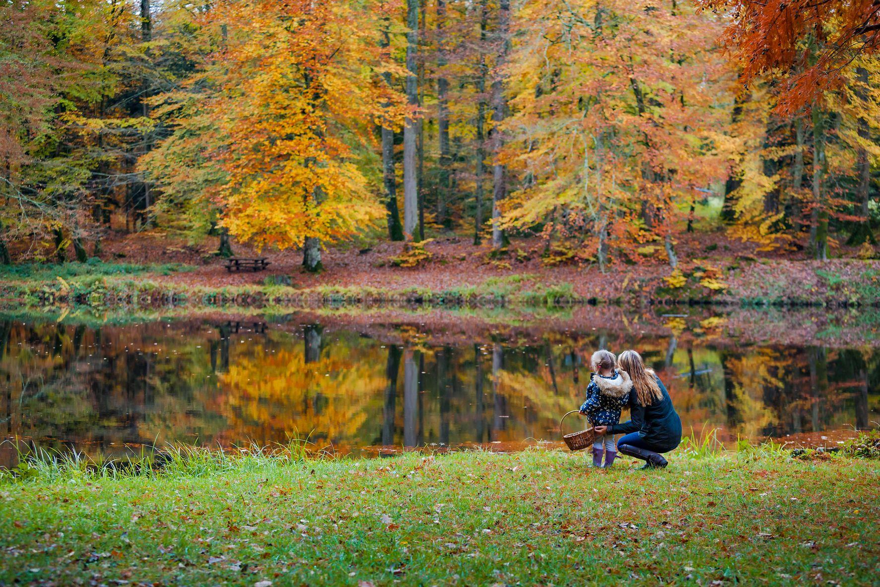 Forêt de Bellême ©Sabina Lorkin