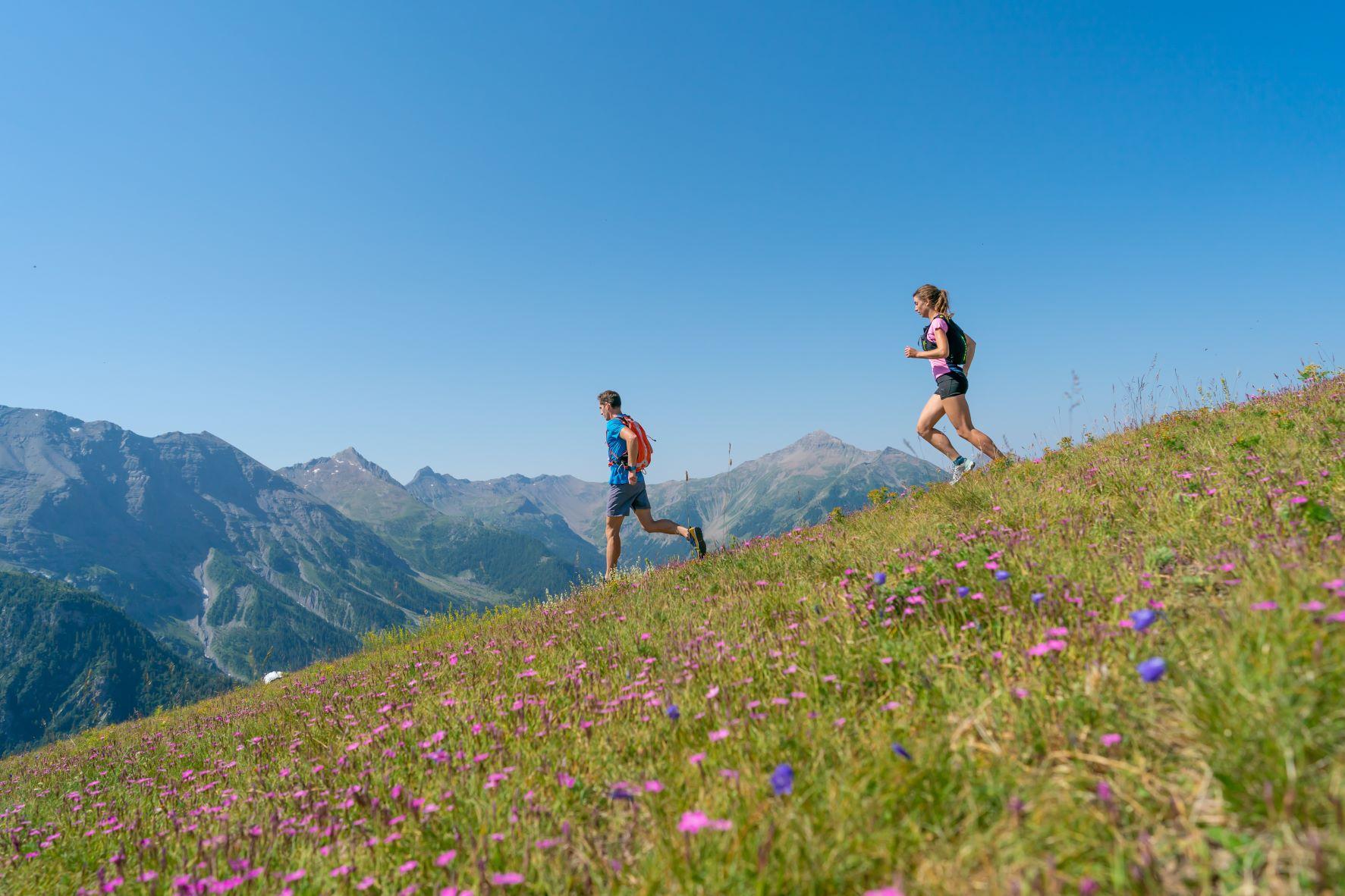 VAKANTIETIP wandelen in de prachtige Zuidelijke Alpen VAKANTIETIP wandelen in de prachtige Zuidelijke Alpen