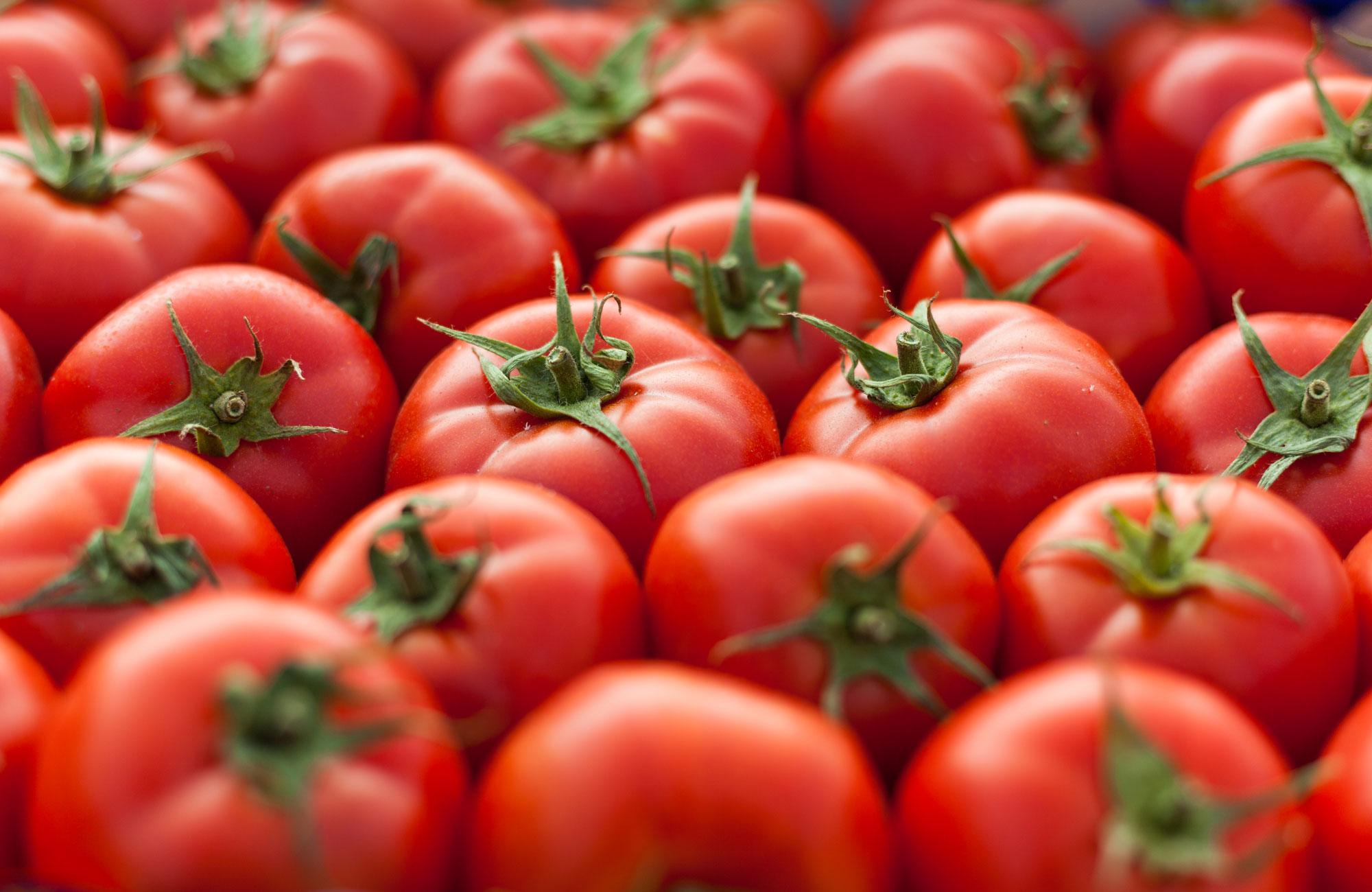De savoureuses recettes de tomates séchées pour en profiter toute