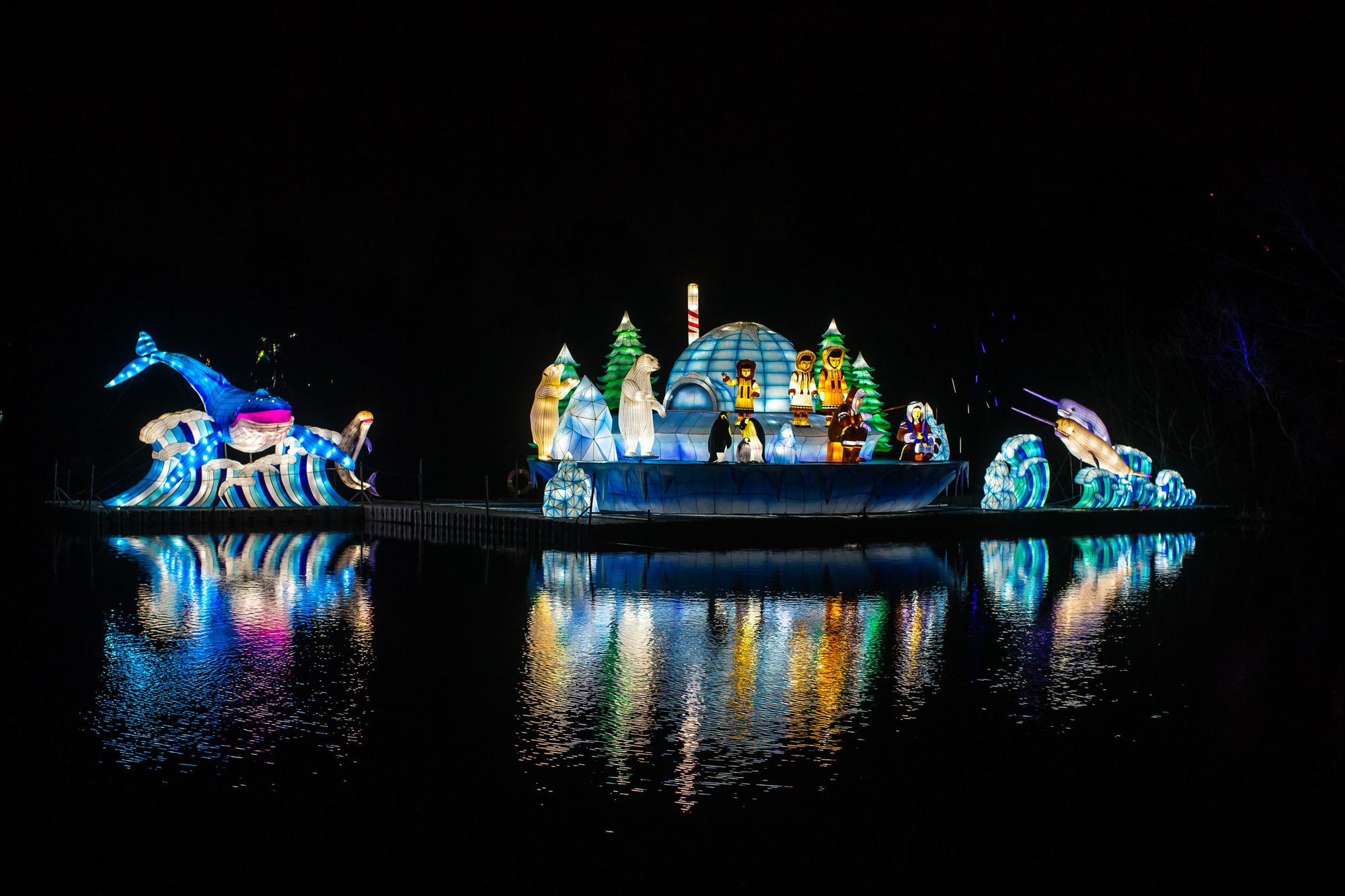 En images Retour du festival de sculptures de lumière Wild Lights au