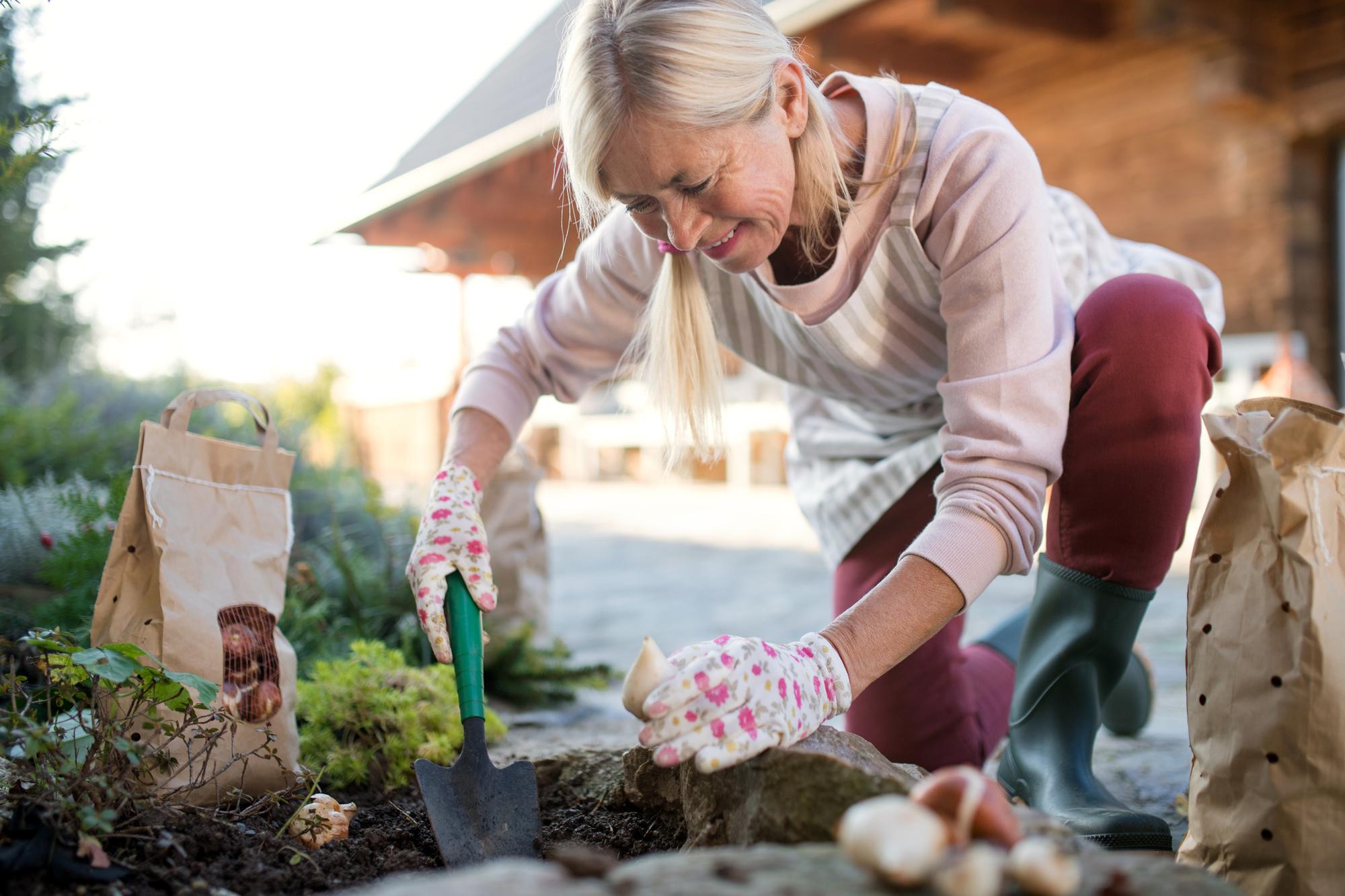 Conseils de sécurité pour le jardinage : éviter les accidents