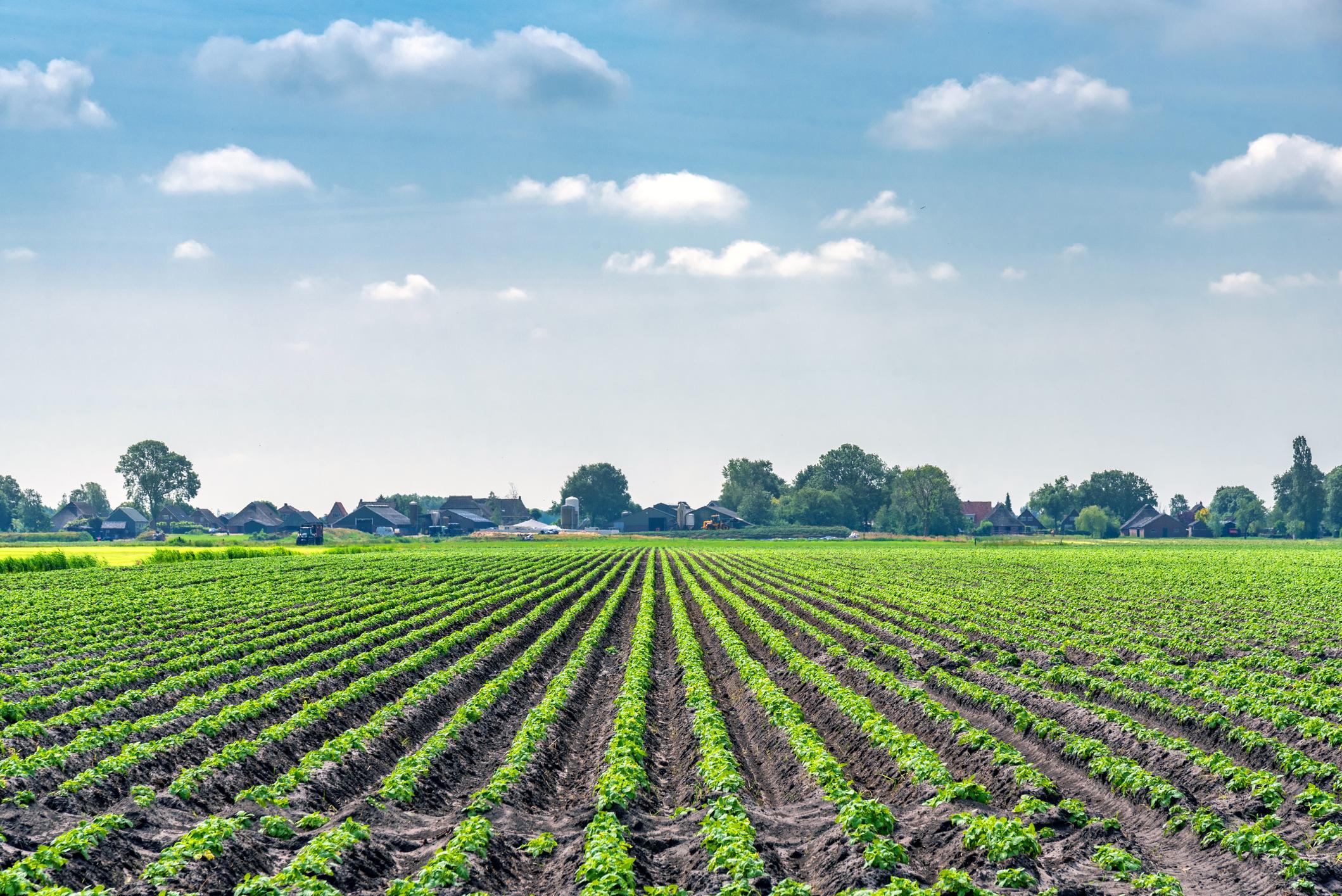 Baromètre des terres agricoles  le prix moyen augmente moins vite que