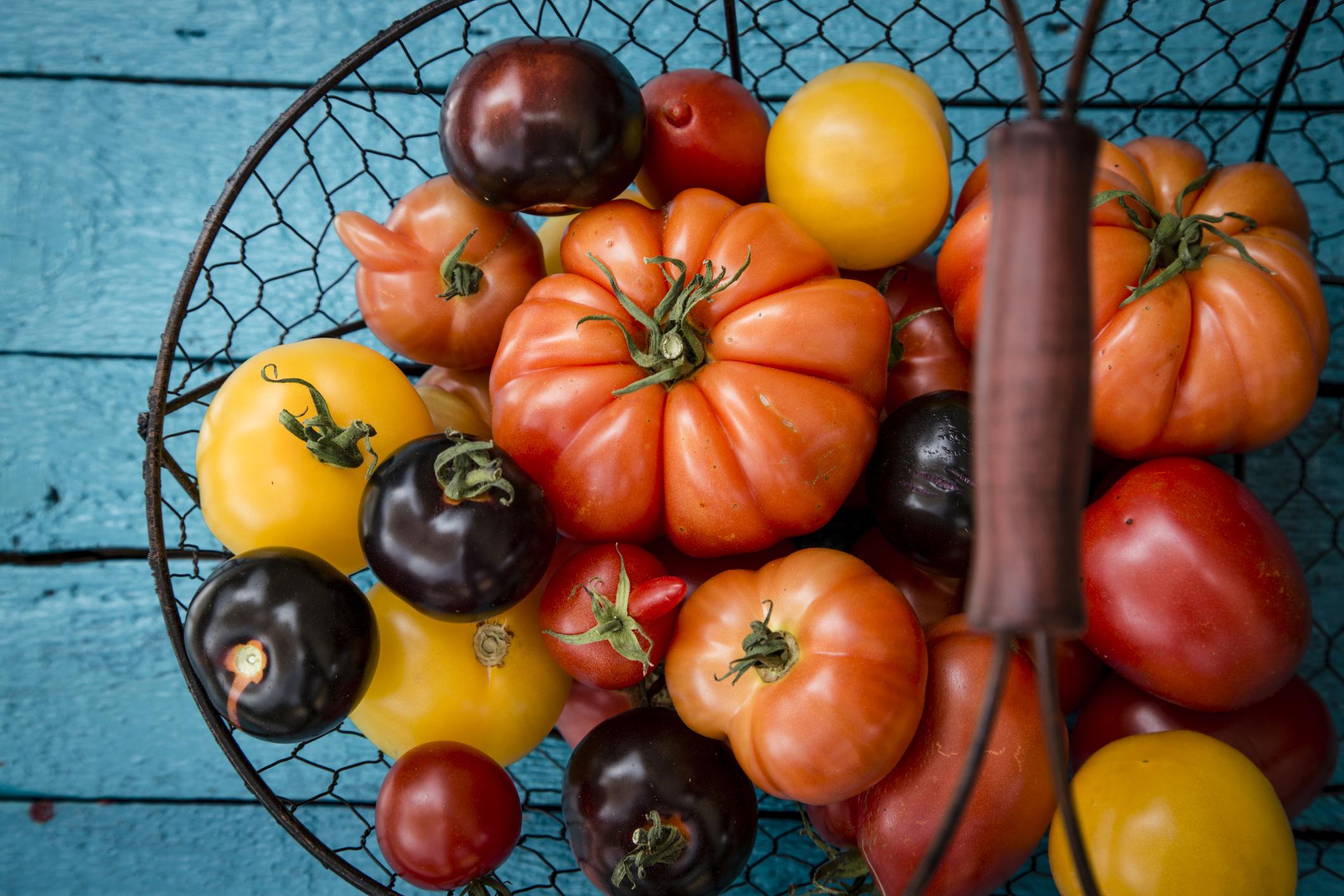 bijl levend heel Goeie vraag: waarom mogen tomaten niet in de koelkast? - Libelle