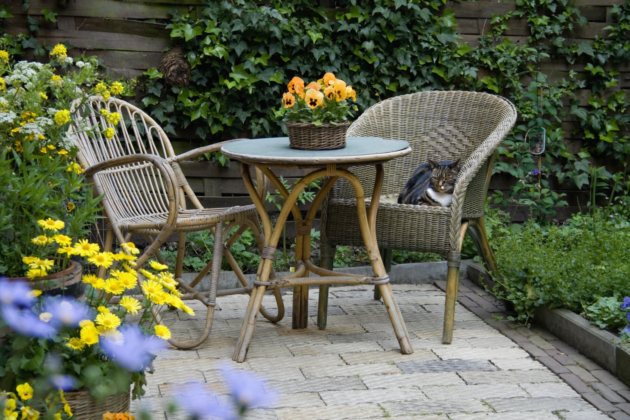 jardin terrasse