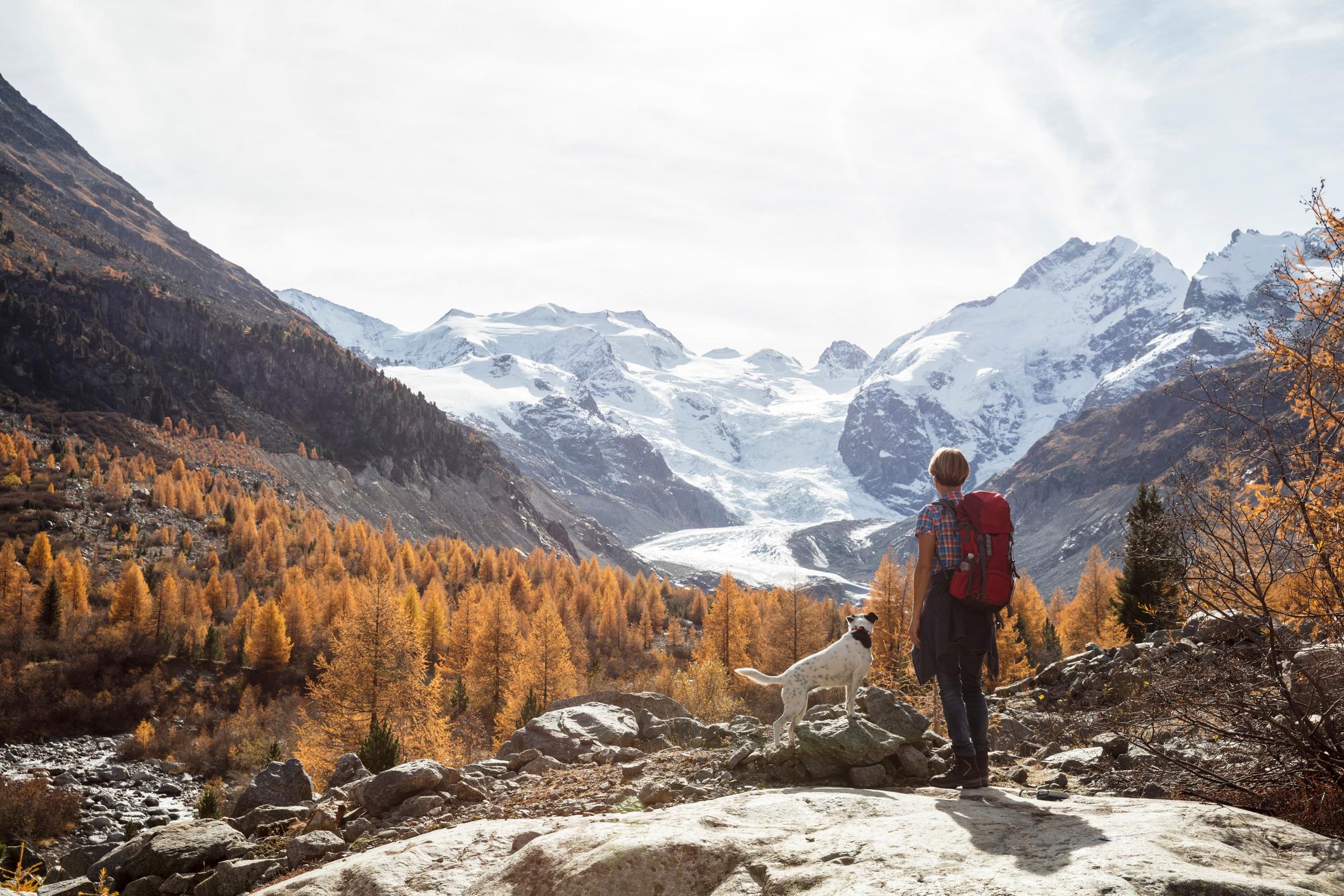 'De Alpen zijn bevroren geweld'