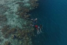 Wallis-et-Futuna, aux frontières de la mer