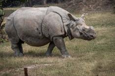 Une saison au zoo