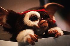 Gremlins 2, la nouvelle génération