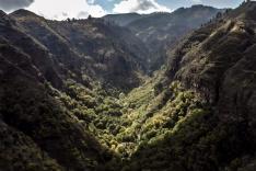 Canaries, les îles-volcans