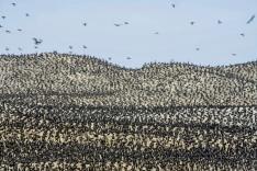 Le monde des océans