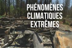 Phénomènes climatiques extrêmes