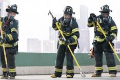 Grey's Anatomy : Station 19