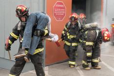 Grey's Anatomy : Station 19