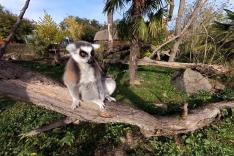 Le PAL en Auvergne : les recettes du succès, entre zoo et parc d'attractions