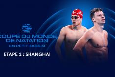Natation : Coupe du monde FINA