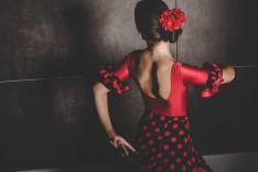 Arte Flamenco - 35 ans