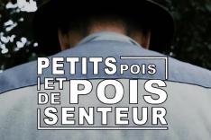 Petit pois et pois de senteur