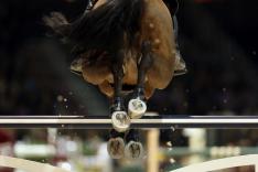 Equitation : Coupe du monde de saut d'obstacles