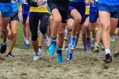 Athlétisme : Championnats d'Europe de cross-country