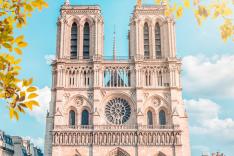 Notre-Dame la réouverture