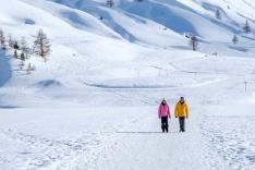 Chroniques d'en haut