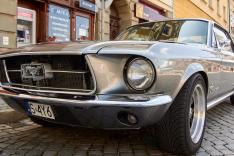 Ford Mustang - die wilde Kiste