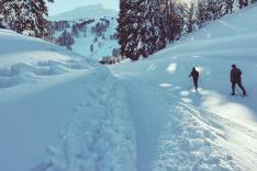 Ski de fond : Coupe du monde à Toblach