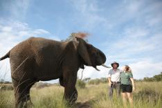 SOS Afrique sauvage