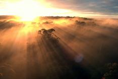 La magie de l'Australie