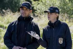 NCIS