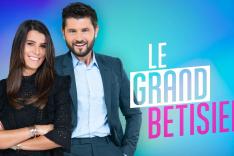 Le grand bêtisier